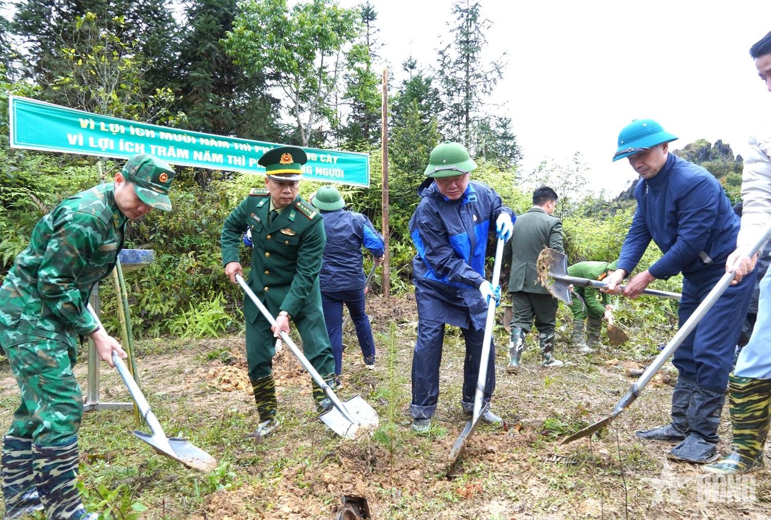 Trồng hơn 3.000 cây xanh xây dựng “Vành đai xanh biên giới” tại xã biên giới Sơn Vĩ